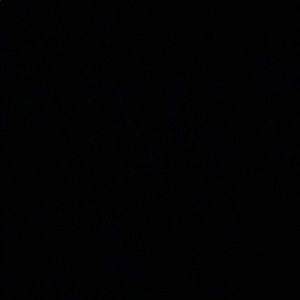 Meet your Posher, Jane